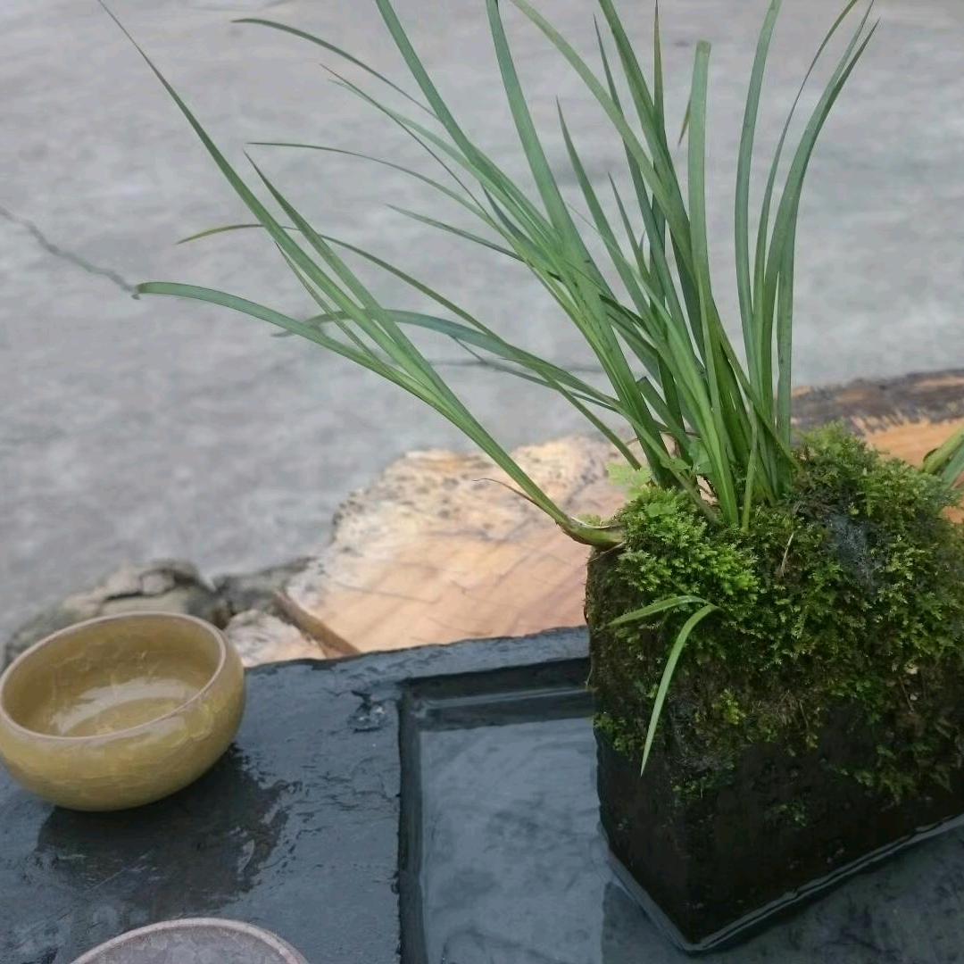 民间园艺