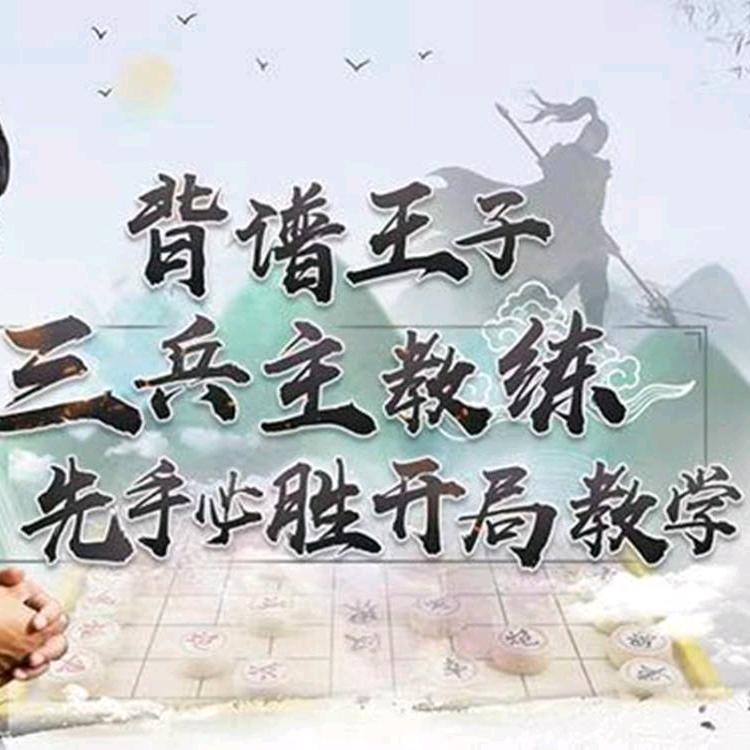 背谱王子象棋教学