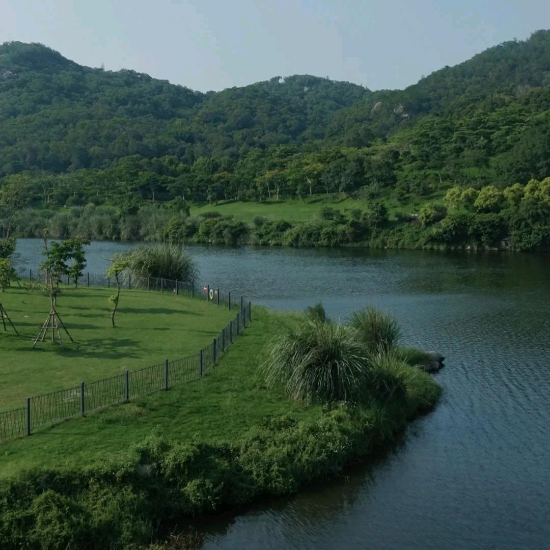 陕茗春 月月