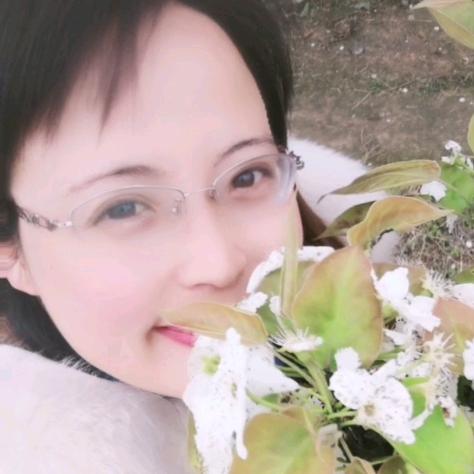 彩萍の诗韵