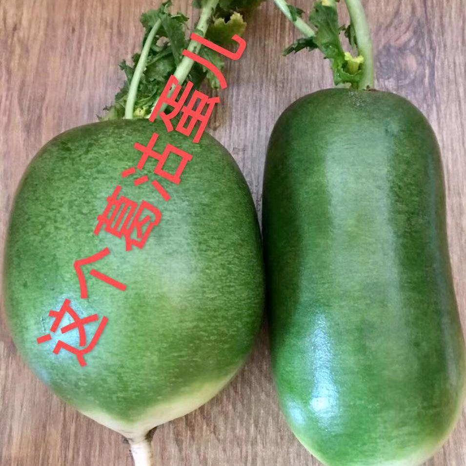 咖4546