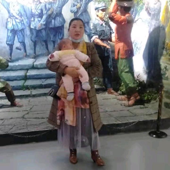 杨金菊