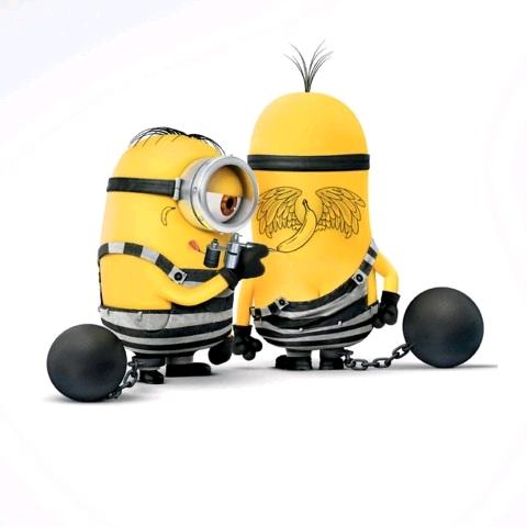 🐵乐福宠物小院