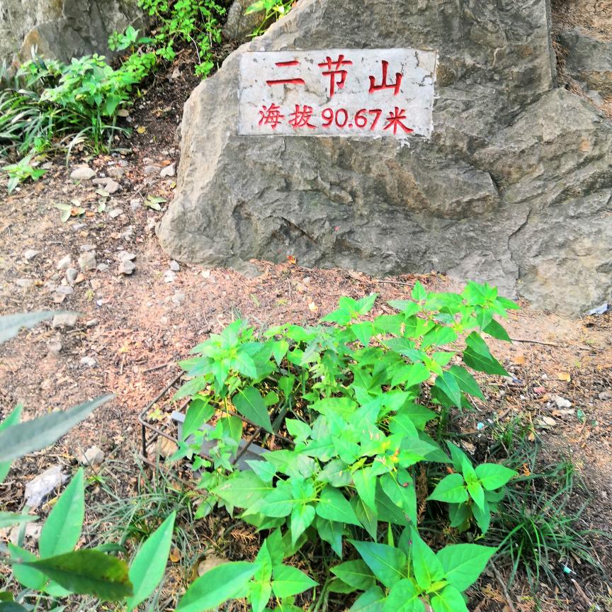 欢乐歌：