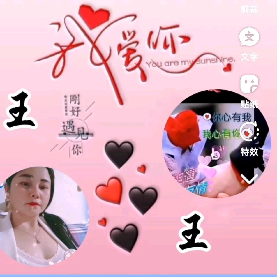 单🌹只🌺蝴🌹蝶🌺