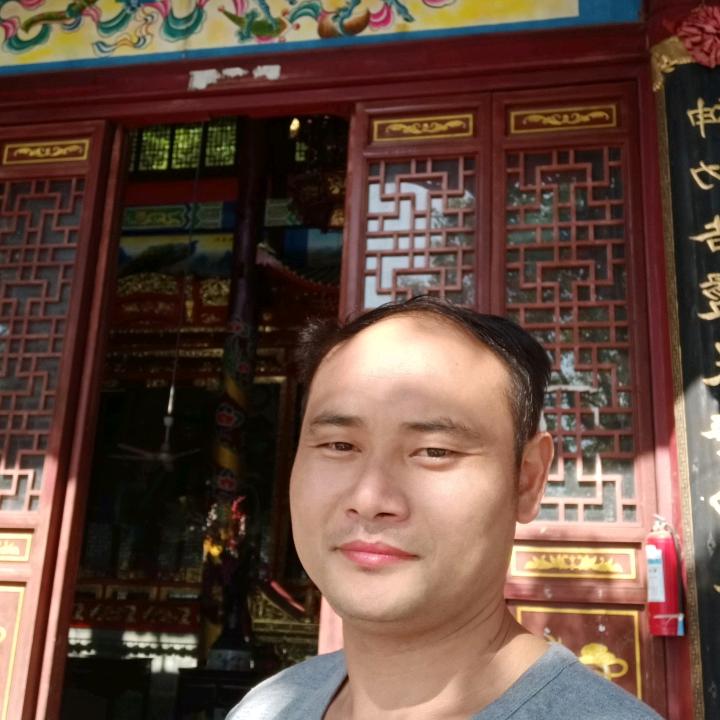 展翅飞翔51621