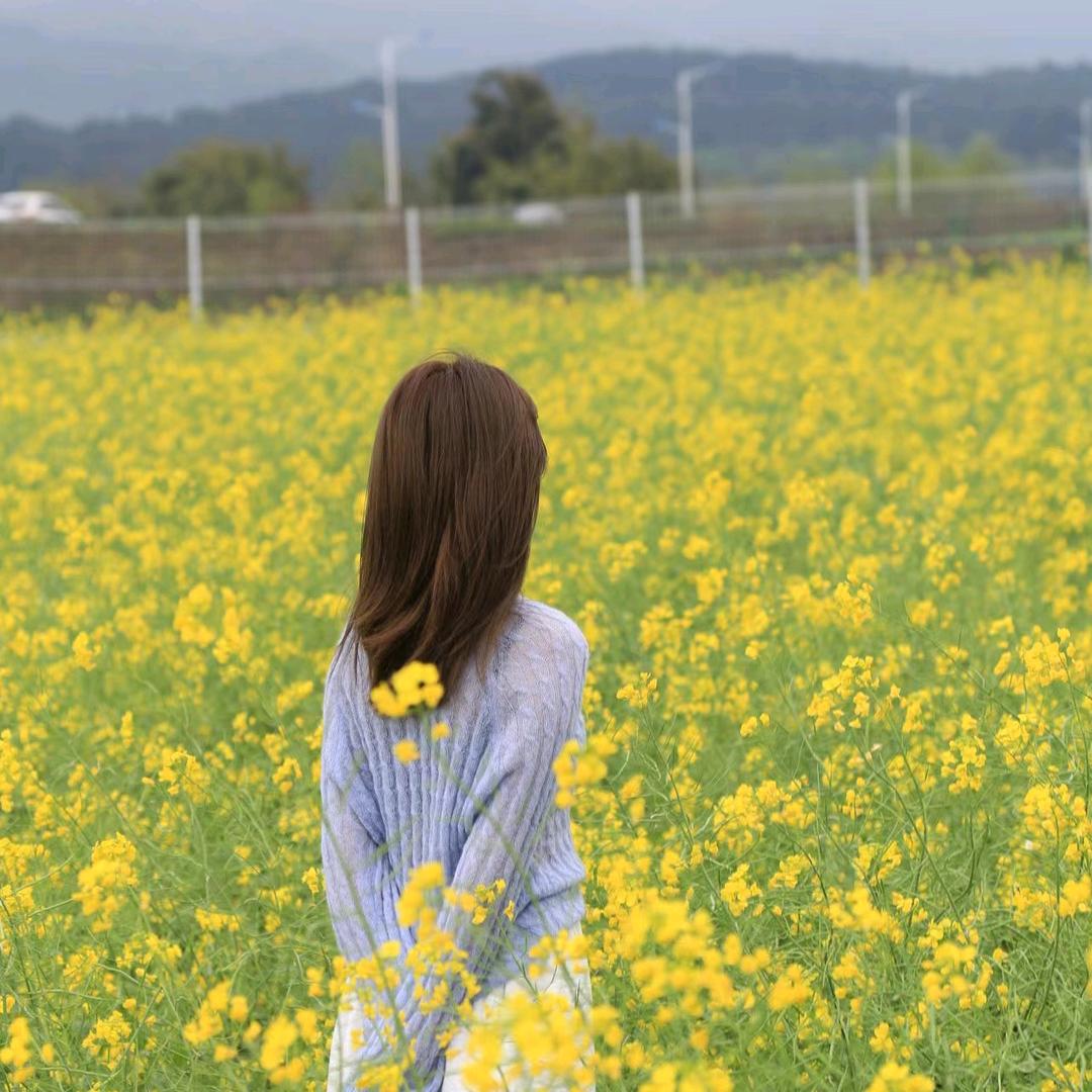 青藤农业