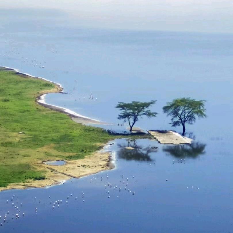 西北鱼峰