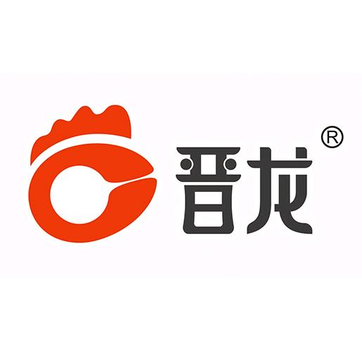 晋龙股份