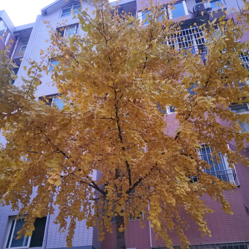 漫步
