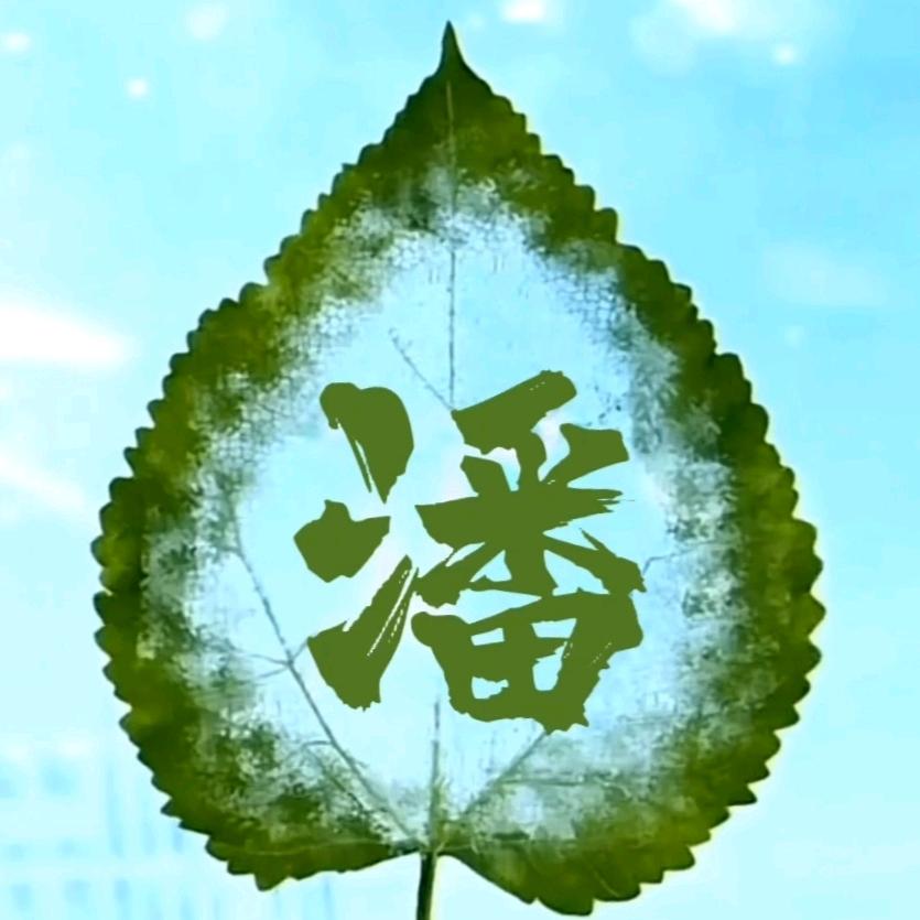 大斌咂