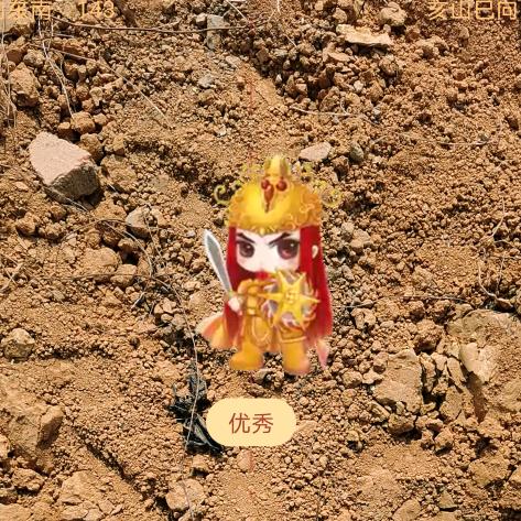 三生三世