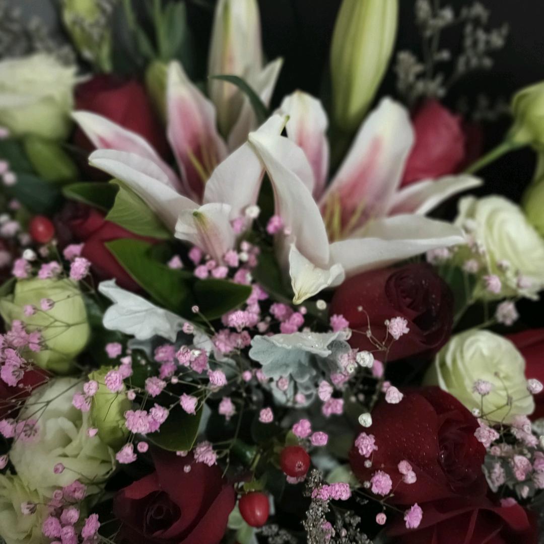 💐风忆雪🌵
