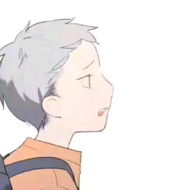 不吃鲨鱼
