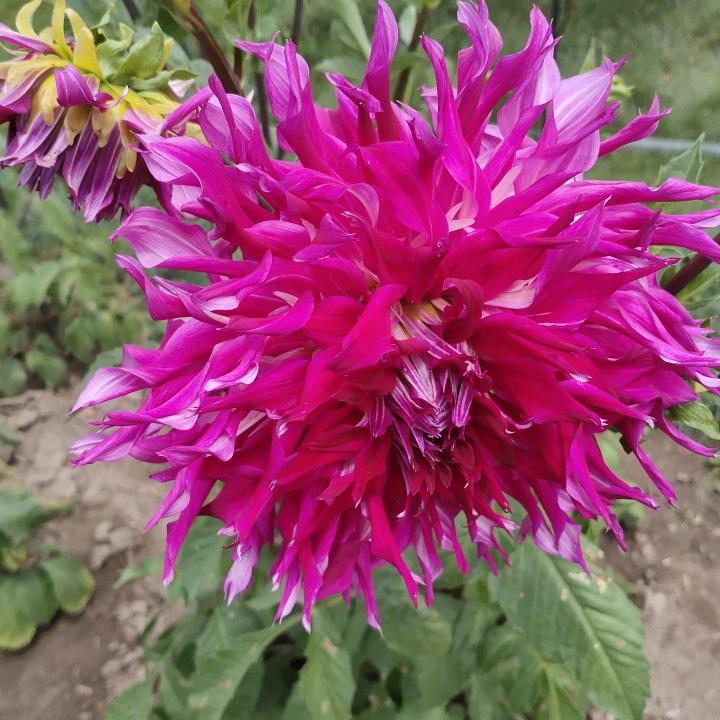 用户6101183360727爱生活