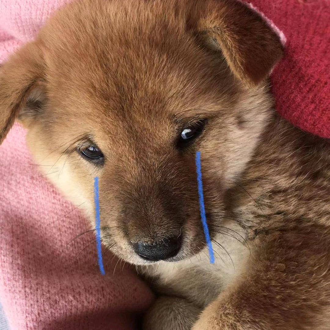 维维1