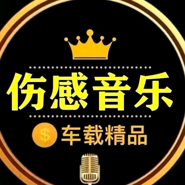 伤感音乐（🉑购 u盘）