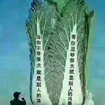 似是故人也