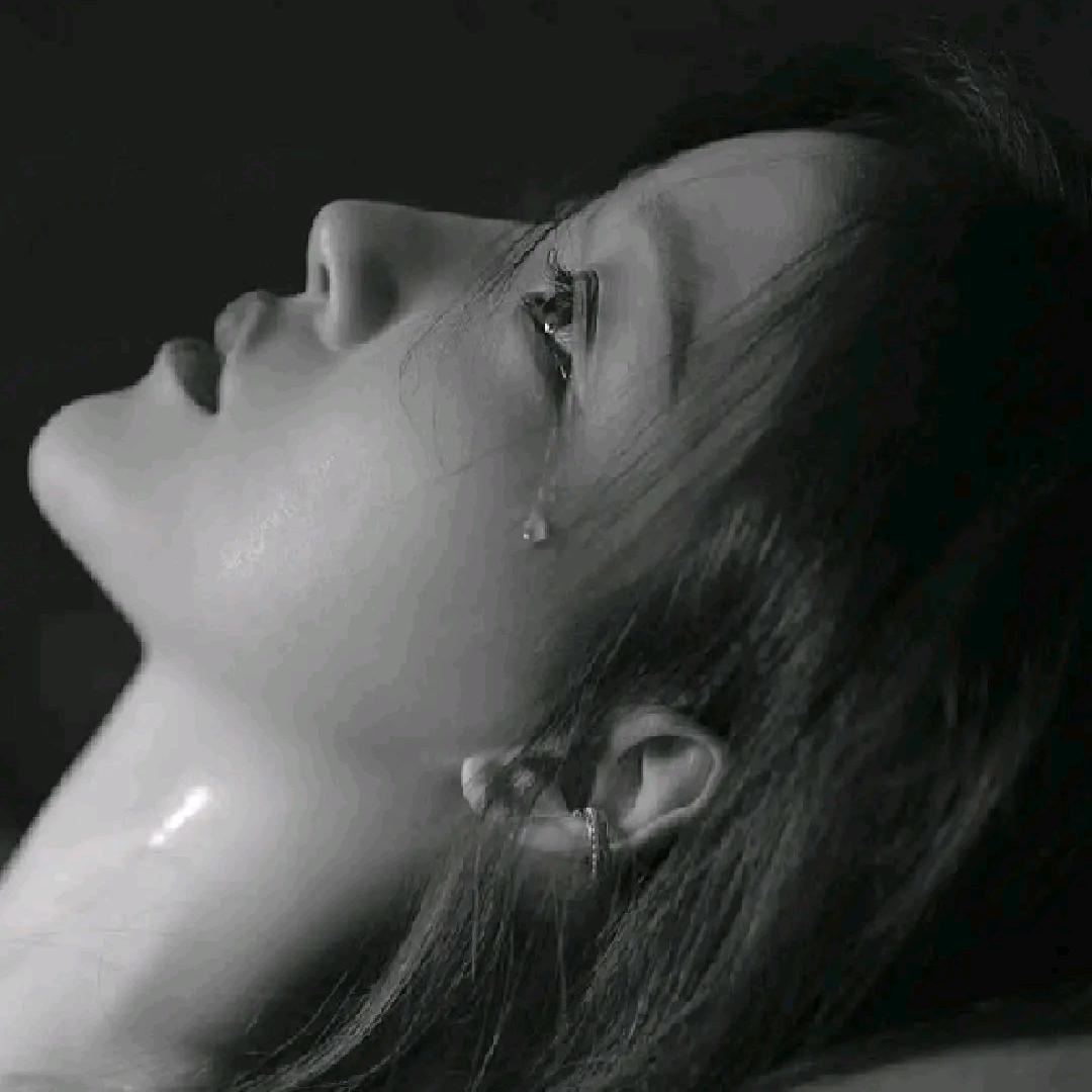 封心锁爱