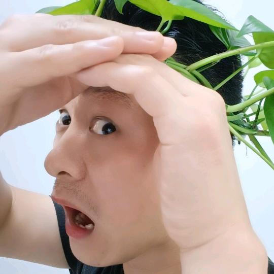 文博