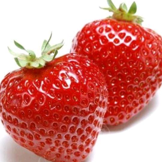 雏菊旳执着\《拒私聊》