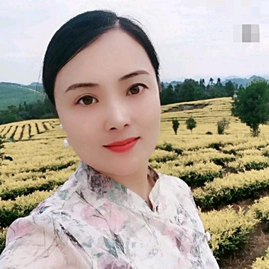 茶叶源头批发零售