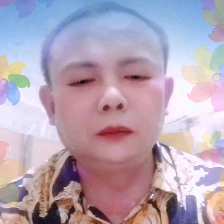 孤独画眉鸟