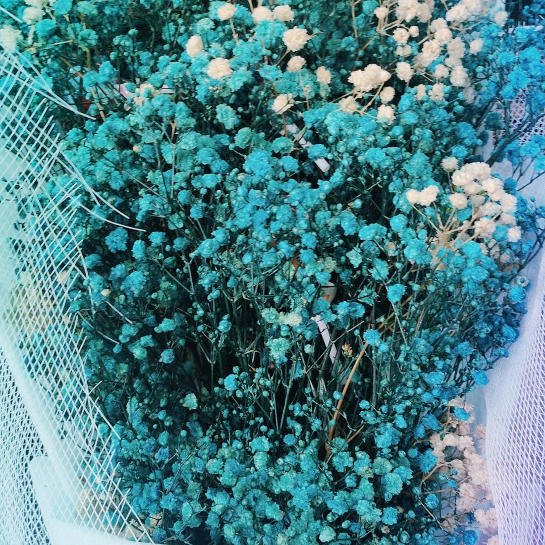 人过半生，看淡人生