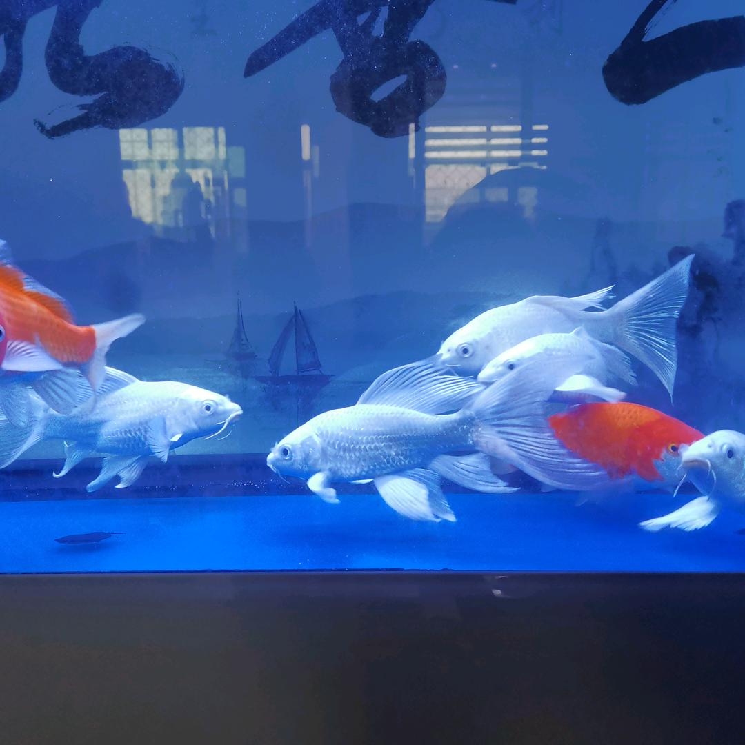 心随风飞～～～