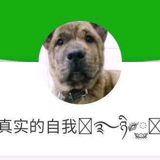 猎犬达人训犬🐩🌈