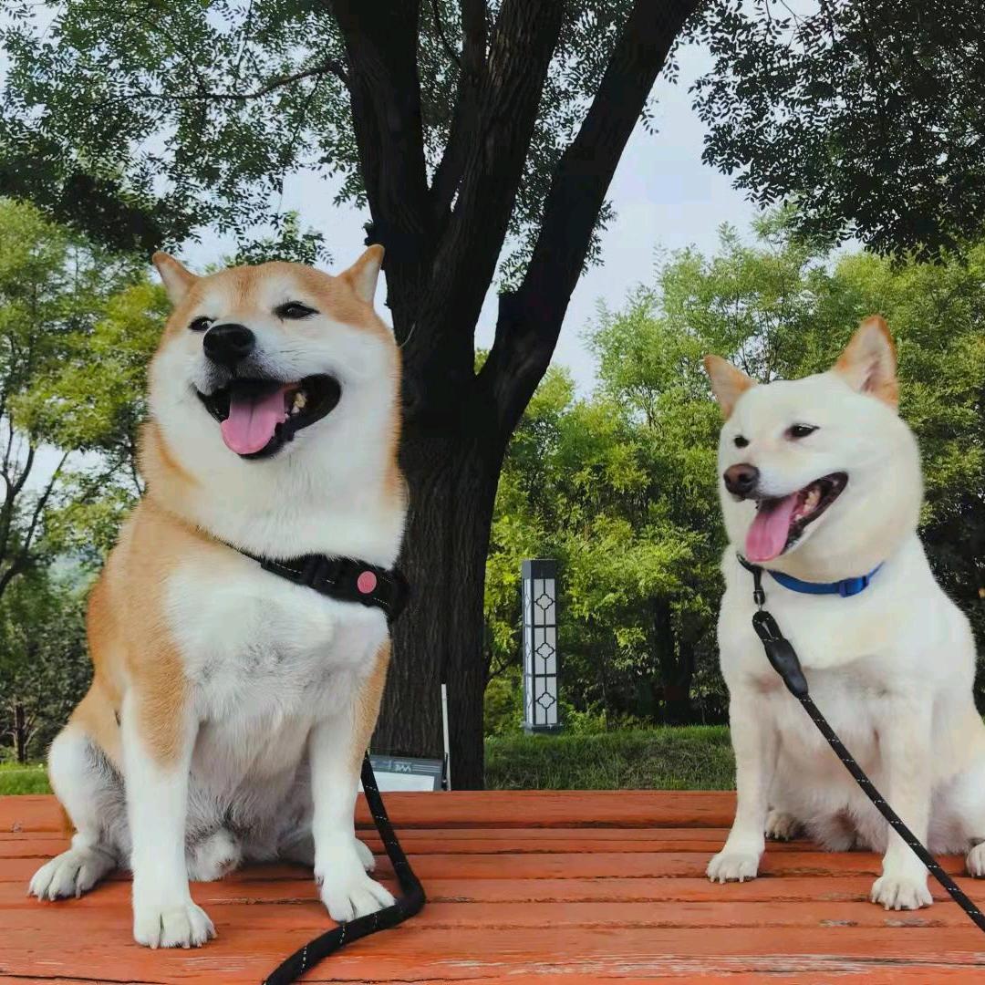 用户2447057348321