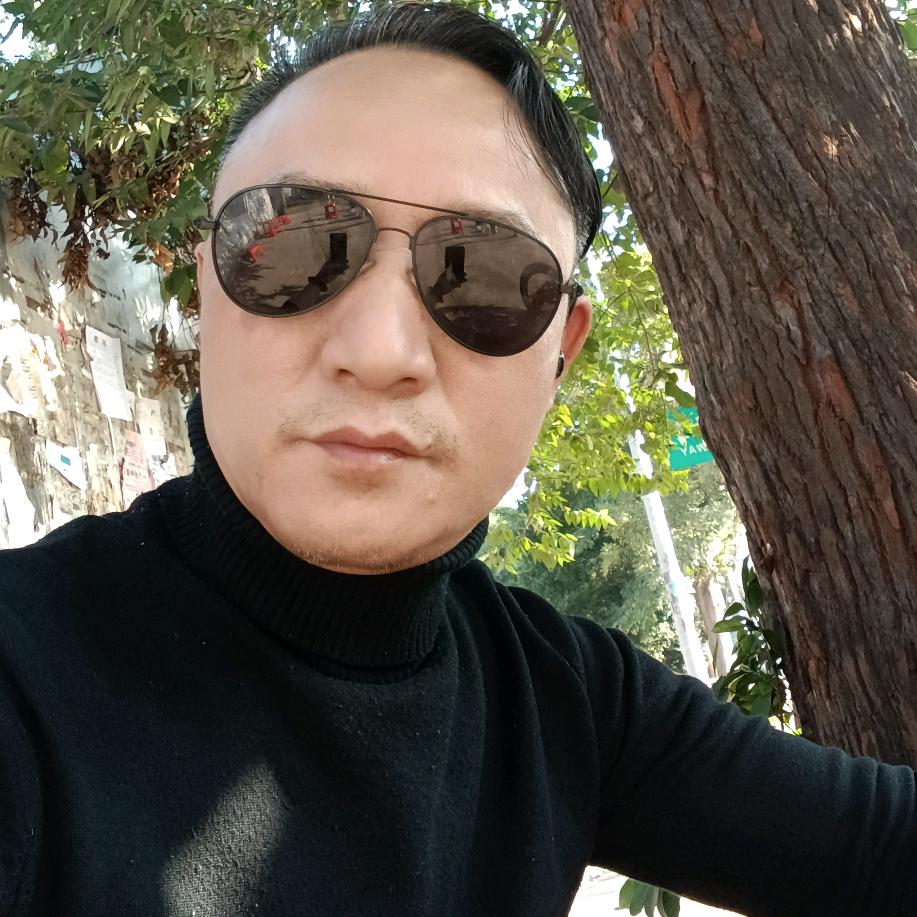 倾心向阳