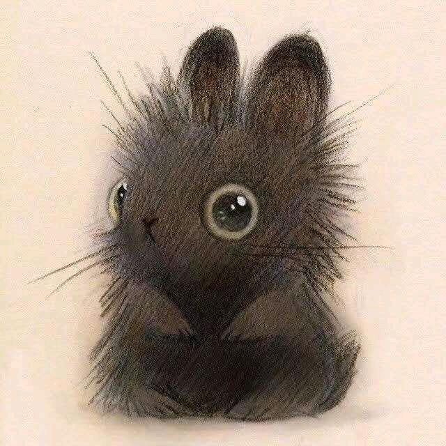 轻舟已过万重山