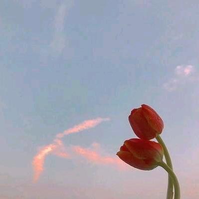 心静如水.