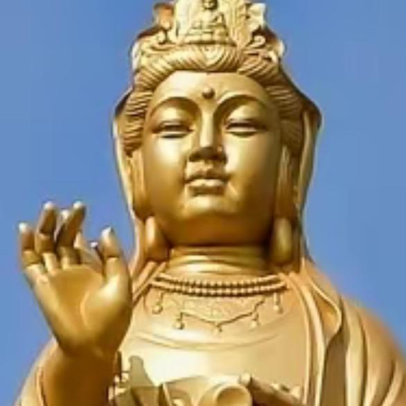 我是七宝