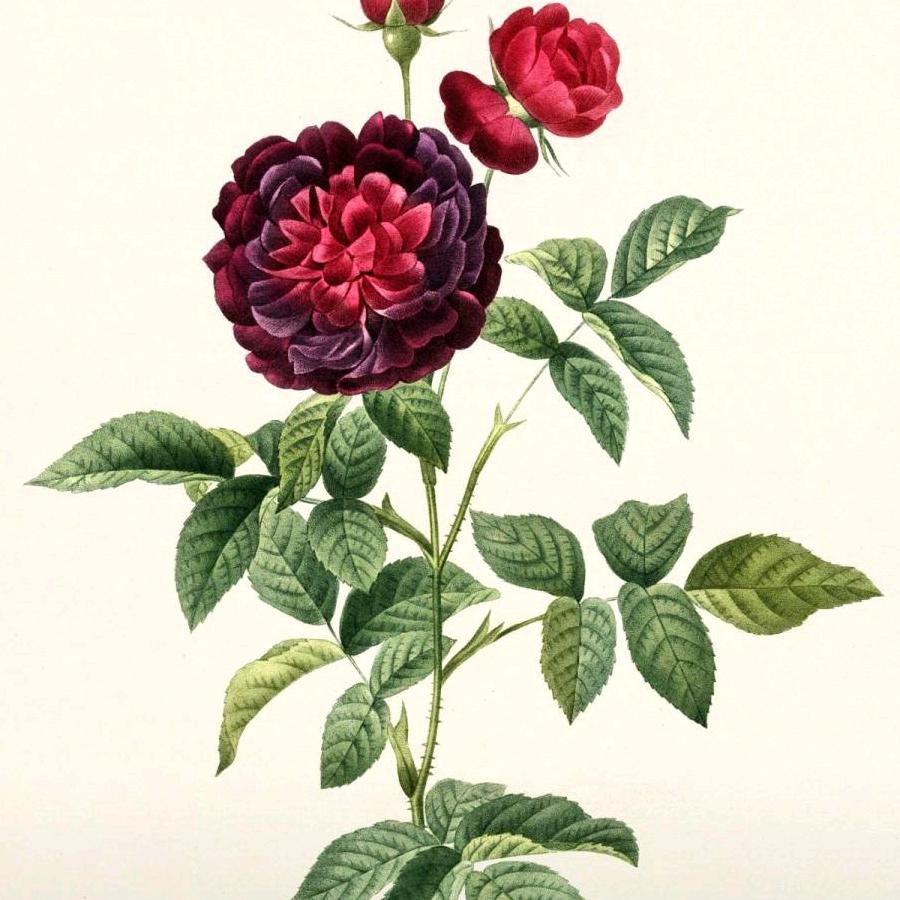 遵道重德 修心养性