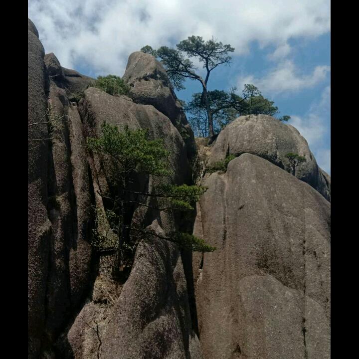 冰若迷梦🌸（霞）