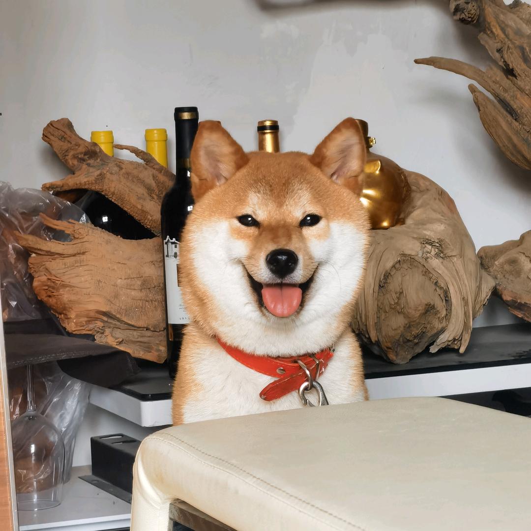 你大爷