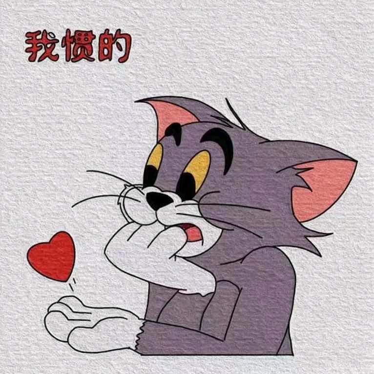 小趴菜