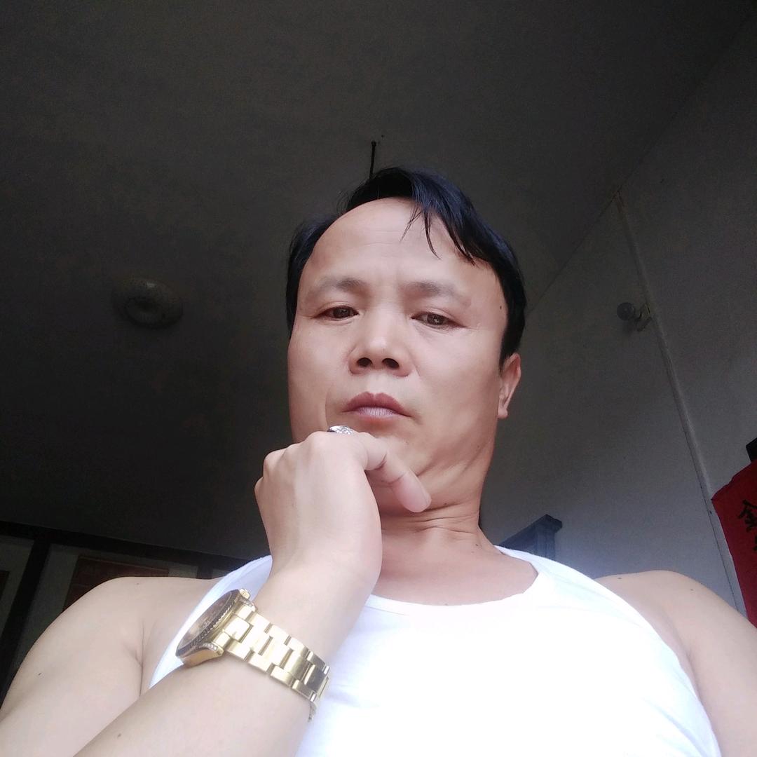 紫陽才安
