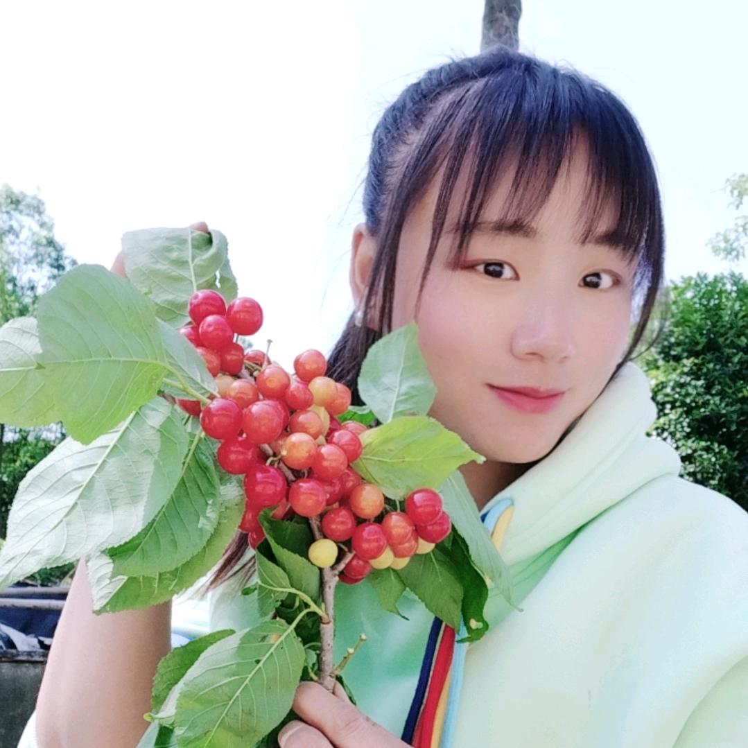 乡村英子