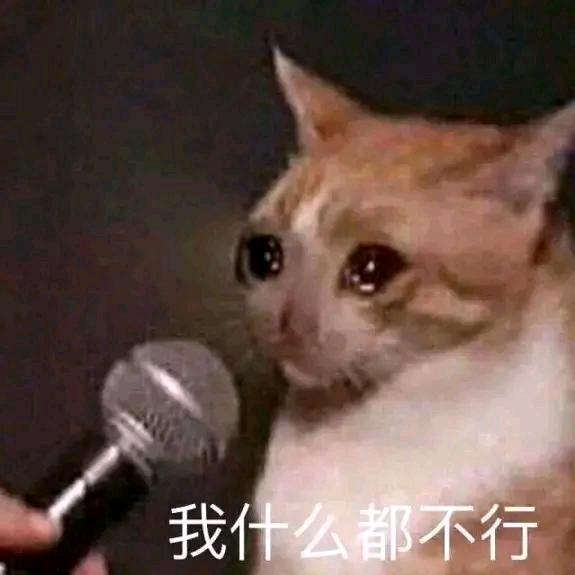 多加葱