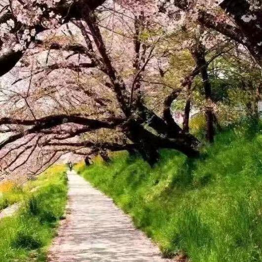 人生就是一场旅途