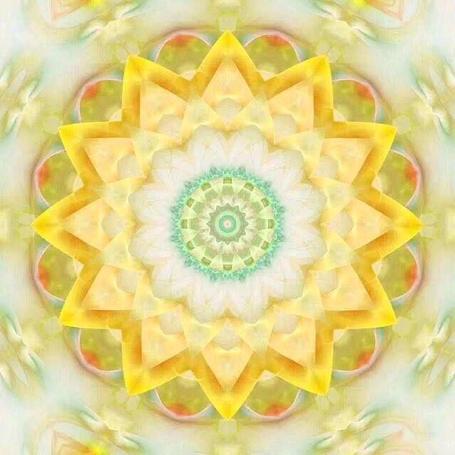 有光
