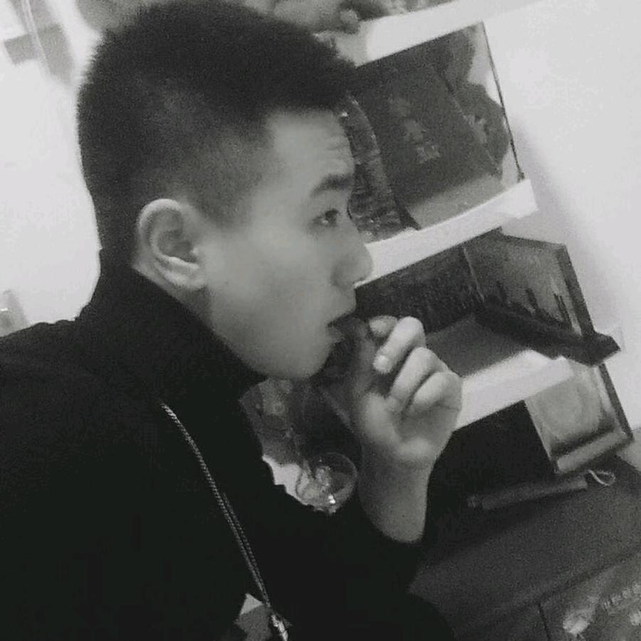 仔豪  圆环鸽