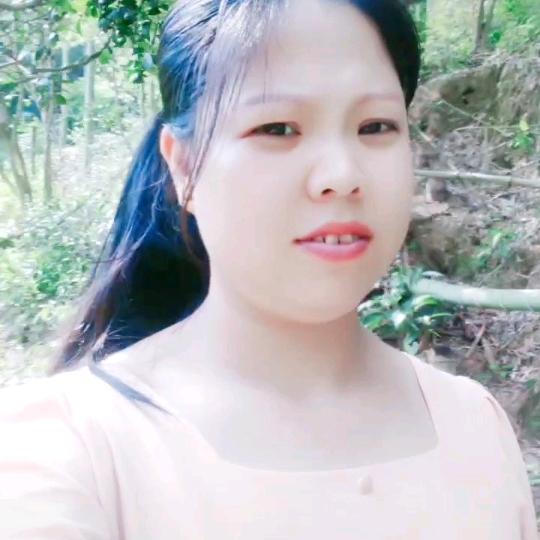 龙冈金菠萝蛋糕