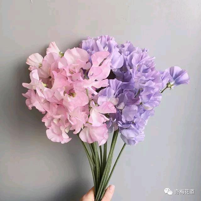 幸福🌺