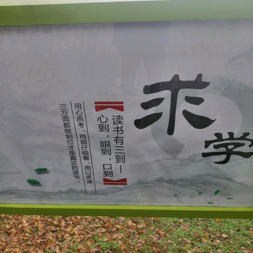 魏老师微课堂