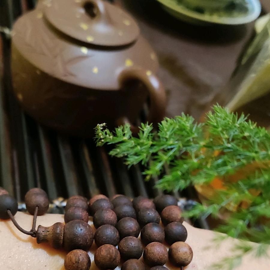 巅峰藏普