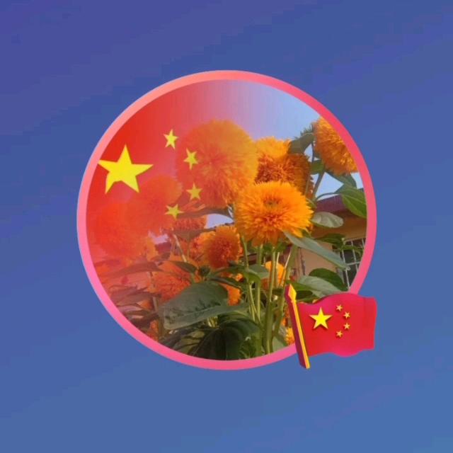 喜迎仙客来